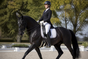 Dressage Outfits for Men: A Complete 2026 Guide