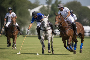 Horse Riding Polo: The Complete Guide for 2026