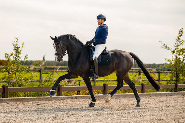 Person riding a horse in an outdoor setting with trees and a fence in the background