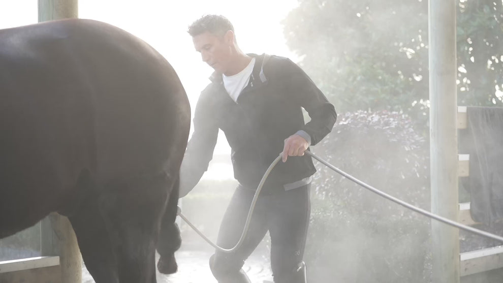2 mean wearing Essential Collection riding clothes grooming a horse 